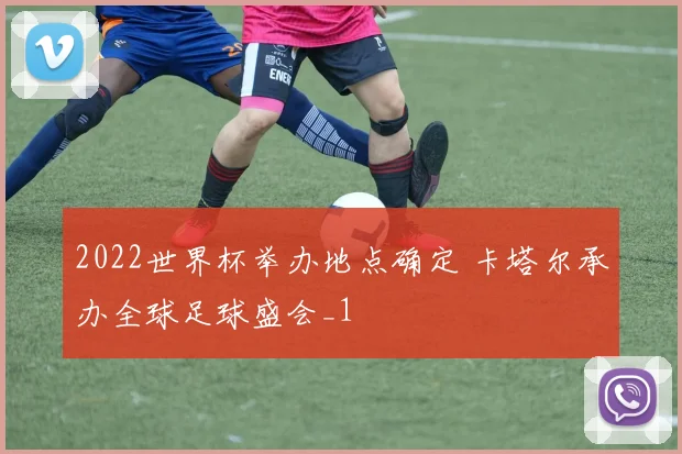 2022世界杯举办地点确定 卡塔尔承办全球足球盛会_1