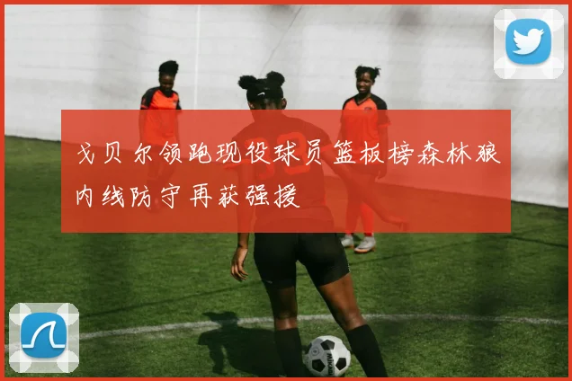 戈贝尔领跑现役球员篮板榜森林狼内线防守再获强援