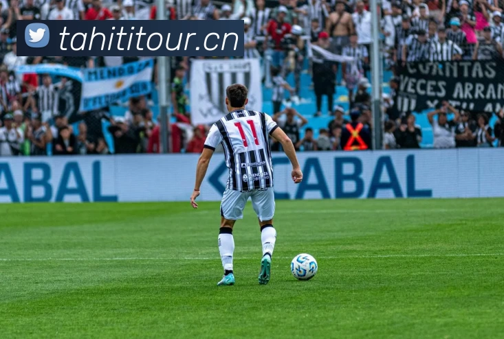 世界杯官方网络平台平台生态图